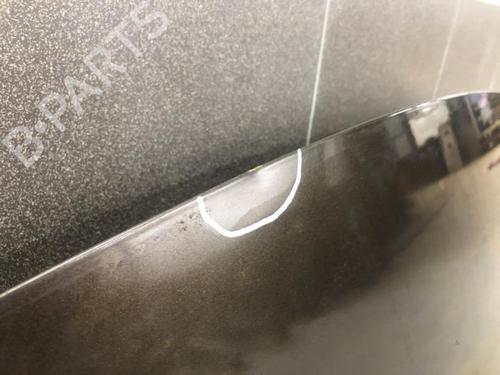 Hood KIA CARENS IV 1.7 CRDi | BP29887991C1 