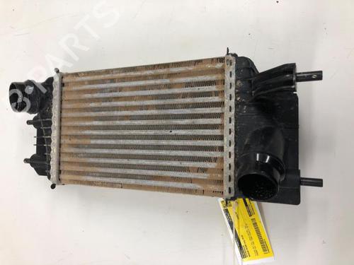 Intercooler NISSAN NV200 Van 1.5 dCi 90 (M20, M20N, M20M) (90 hp) 31318964