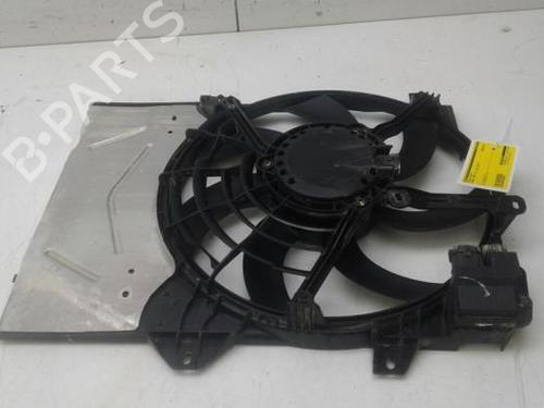 Used Pipe PEUGEOT 2008 II (UD_, US_, UY_, UJ_, UR_, UC_) 1.5 BlueHDI 100 (102 hp) 29127040