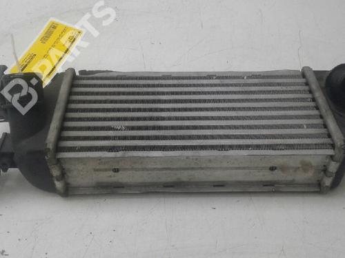 Intercooler FIAT 500 (312_) 0.9 (312AXG1A, 312.AXG11) | BP6811342M30 