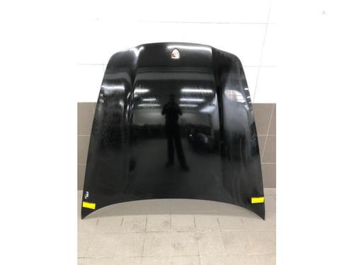 Motorhaube für PORSCHE PANAMERA (970) 3.6 (300 hp) 31318973