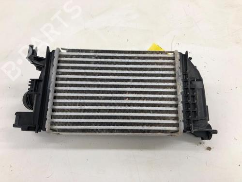 Intercooler NISSAN MICRA V (K14) 1.0 IG-T 100 | BP29902778M30 