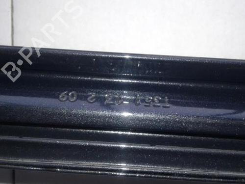 Left rear door MERCEDES-BENZ E-CLASS T-Model (S212) E 220 CDI (212.202) | BP7009642C4 