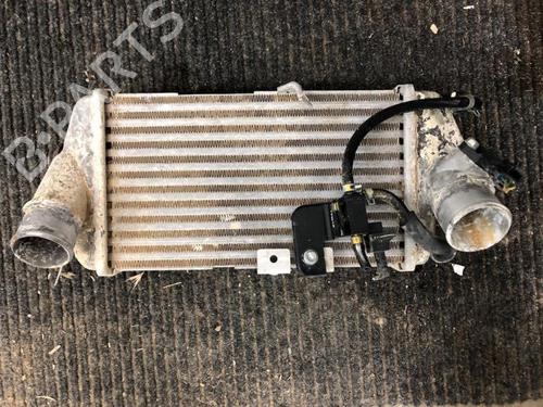 Intercooler ZASTAVA RIVAL Platform/Chassis 2.5 D | BP29764110M30