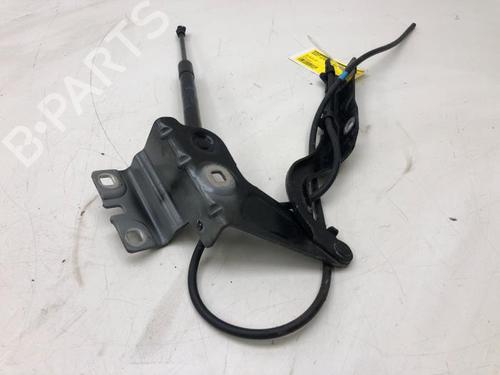 Hinge/Door check strap RENAULT TALISMAN Grandtour (KP_) 1.8 TCe 225 (KPM1) | BP21053535C146 