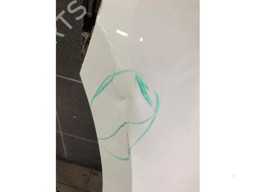 Used Left front fenders VW PASSAT B8 Variant (3G5, CB5) 2.0 TDI (150 hp) 28192946