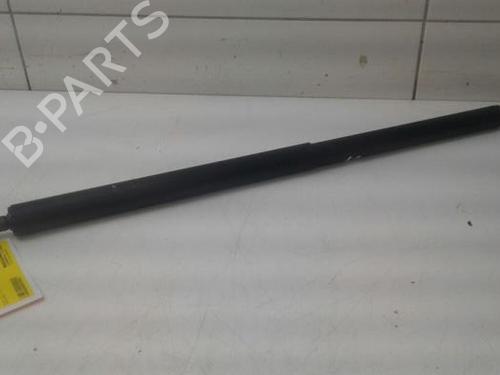 Used Tailgate lift support MERCEDES-BENZ EQV (W447) EQV 300 (447813, 447815) (204 hp) 14574869