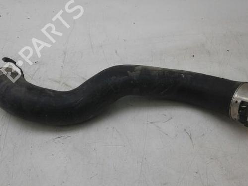 Pipe MERCEDES-BENZ GLE (W166) 250 d (166.006) | BP14574966M125 