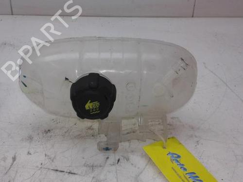 Used Expansion tank RENAULT TRAFIC III Van (FG_) 1.6 dCi 120 (FGMK) (121 hp) 19540752