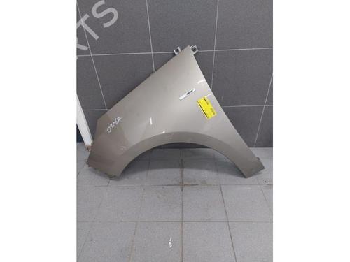 Used Left front fenders RENAULT SCÉNIC III (JZ0/1_) 2.0 16V (JZ0G, JZ0P, JZ1E, JZ1P) (140 hp) 16088241