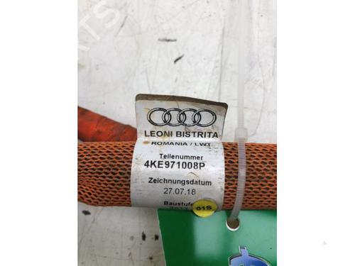 Cable AUDI E-TRON (GEN) 55 quattro | BP23081350E12 
