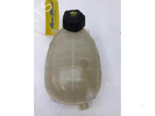 expansion-tank-renault-clio-v-b7_-2019-39913162 main image