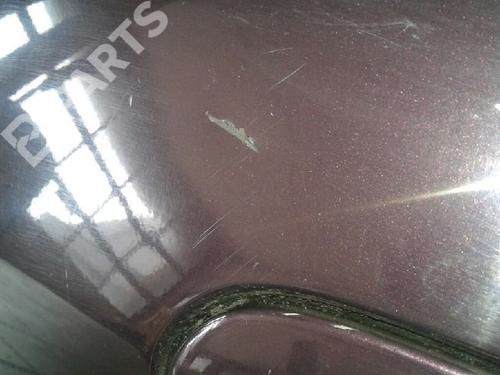 Tailgate MERCEDES-BENZ S-CLASS (W220) S 320 CDI (220.026, 220.126) | BP6690701C6 