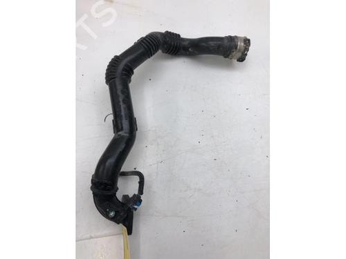 Used Exhaust system NISSAN MICRA V (K14) 1.0 IG-T 100 (101 hp) 14578951