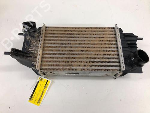 Intercooler NISSAN NV200 Van 1.5 dCi 90 (M20, M20N, M20M) (90 hp) 31318949