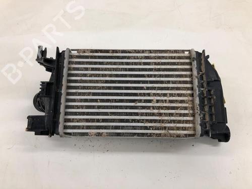 Intercooler NISSAN MICRA V (K14) 1.0 IG-T 100 | BP29878305M30