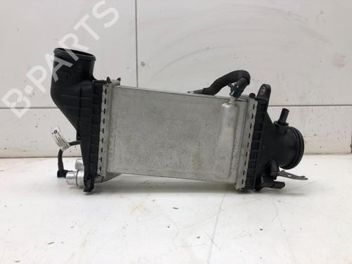 Intercooler MERCEDES-BENZ GLE (V167) GLE 350 e 4-matic (167.154) | BP25000673M30 