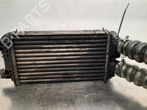 Intercooler Intercooler PEUGEOT 208 II (UB_, UP_, UW_, UJ_) 1.2 PureTech 130 (131 hp) 34198692 34198692