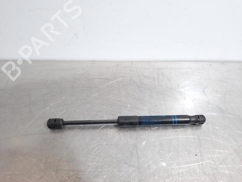 Used Hood lift support BMW 1 (F20) 116 i (109 hp) 16264174