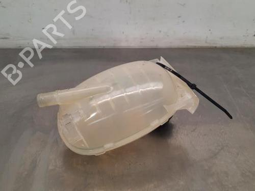 Expansion tank NISSAN JUKE (F16_) DIG-T 117 | BP23610669C120 