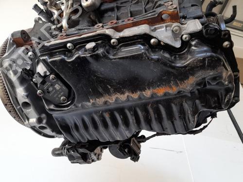 Engine SKODA OCTAVIA IV Combi (NX5, PV5) 2.0 TDi | BP15793404M1