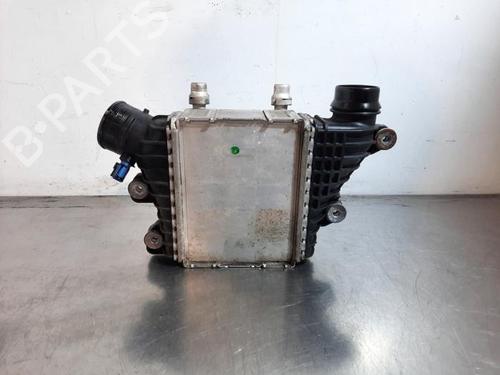 Used Intercooler Intercooler JAGUAR E-PACE (X540) 2.0 D150 (150 hp) 34200516 34200516