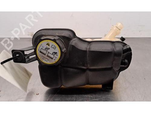 Ekpansionstank LAND ROVER RANGE ROVER EVOQUE (L538) 2.0 D 4x4 (150 hp) 31818831