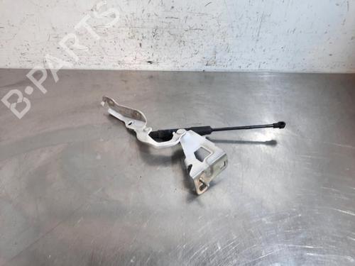Hinge/Door check strap RENAULT TRAFIC III Van (FG_) 2.0 dCi 145 (FGML) | BP26968171C146