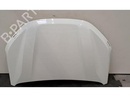 hood-dacia-sandero-iii-2021-40026188 main image