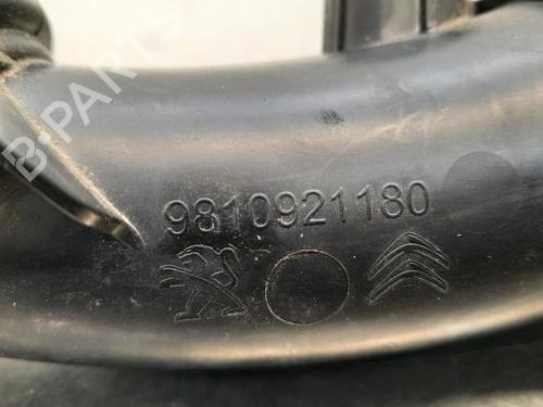 Pipe DS DS 4 II (FR_, FB_, F3_) BlueHDi 130 (FBYHZT) | BP23602833M125 