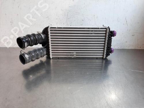 Used Intercooler PEUGEOT 2008 II (UD_, US_, UY_, UJ_, UR_, UC_) 1.2 Hybrid 136 (URHPYC, USHPY) (136 hp) 30915787