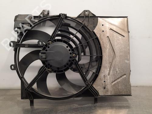 Used Radiator fan CITROËN C3 III Van (SX_, SY_) BlueHDi 100 (102 hp) 17114113