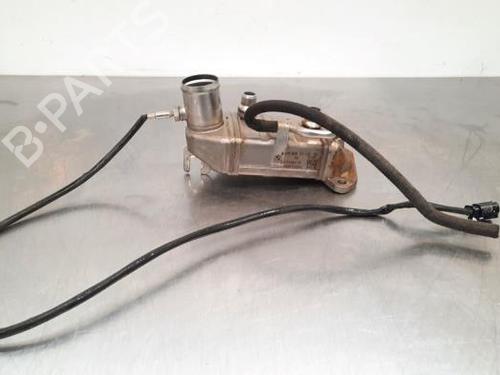 Used Egr BMW X1 (F48) sDrive 16 d (116 hp) 19650428
