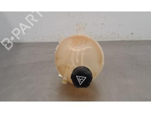 Used Expansion tank PEUGEOT EXPERT Van (V_) 2.0 BlueHDi 145 (144 hp) 29493728
