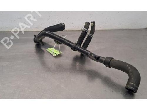 Pipe NISSAN JUKE (F16_) DIG-T 117 | BP29881641M125