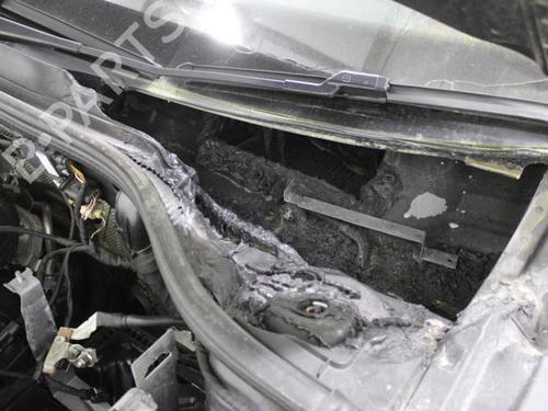 Venstre baglygte VW GOLF VIII (CD1, DA1) 2.0 TDI GTD | BP23593236C34 