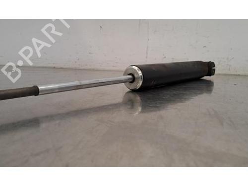 Amortyzator tylny lewy MERCEDES-BENZ G-CLASS (W463) G 350 d (463.348) | BP30867267M18