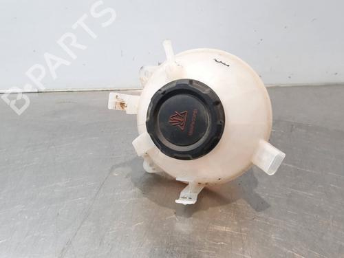 Used Expansion tank VW CADDY IV Box Body/MPV (SAA, SAH) 1.4 TSI (125 hp) 15031560