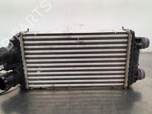Used Intercooler CITROËN C4 III (BA_, BB_, BC_) BLUEHDI 110 (BBYHSA) (110 hp) 23607761