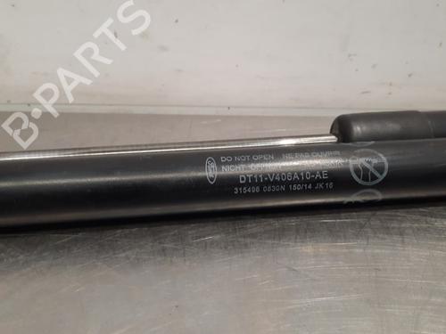 Tailgate lift support FORD TOURNEO CONNECT / GRAND TOURNEO CONNECT V408 MPV 1.6 TDCi | BP17565955C138 