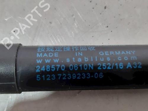 Hood lift support BMW 2 Coupe (F22, F87) 220 i | BP15017657C139 