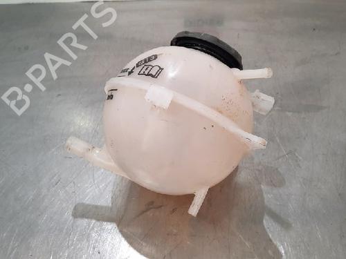 Expansion tank SKODA FABIA III (NJ3) 1.0 TSI | BP10890526C120 