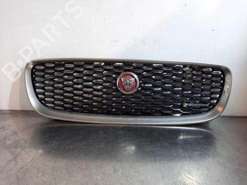 Grill Grill JAGUAR E-PACE (X540) 2.0 D150 (150 hp) 34254596 34254596