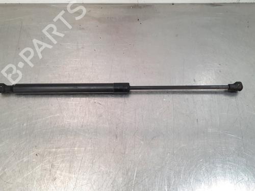 Tailgate lift support DACIA SANDERO II TCe 90 (B8M1, B8MA, B8AC) | BP15023904C138 