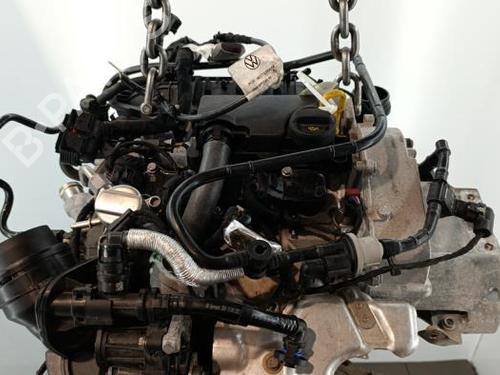 Used Engine VW POLO VI (AW1, BZ1, AE1) 1.0 TSI (95 hp) 33221224