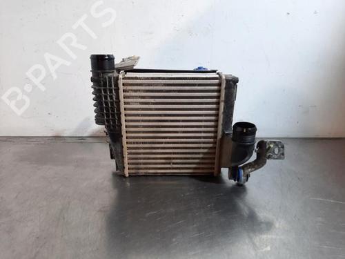 Intercooler Intercooler DS DS 7 Crossback (J4_, JR_, JC_) E-TENSE 4x4 (J45GBU) (300 hp) 35746541 35746541