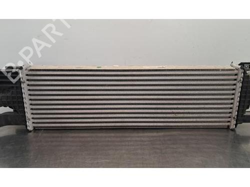 Used Intercooler DS DS 9 (X2_) 1.6 PureTech 225 (X25GGR) (224 hp) 30660000
