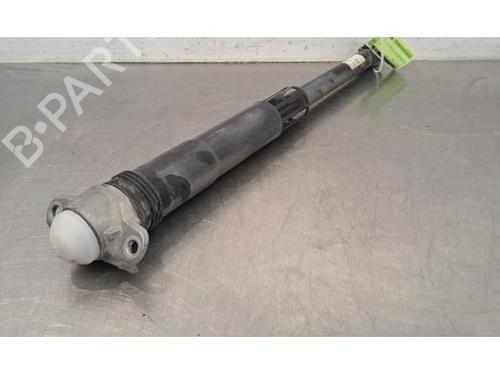 Used Right rear shock absorber VW POLO VI (AW1, BZ1, AE1) 1.6 TDI (95 hp) 29058015