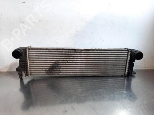 Used Intercooler MERCEDES-BENZ SPRINTER 3-t Van (B910) 214 CDI (910.621, 910.623) (143 hp) 24157088