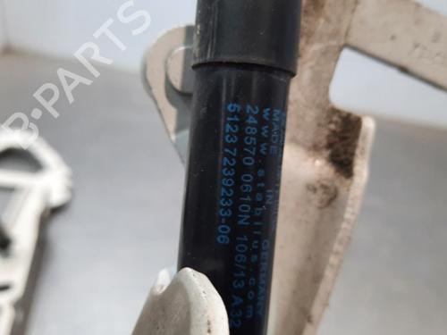 Hinge/Door check strap BMW 1 (F20) 114 i | BP15031262C146 